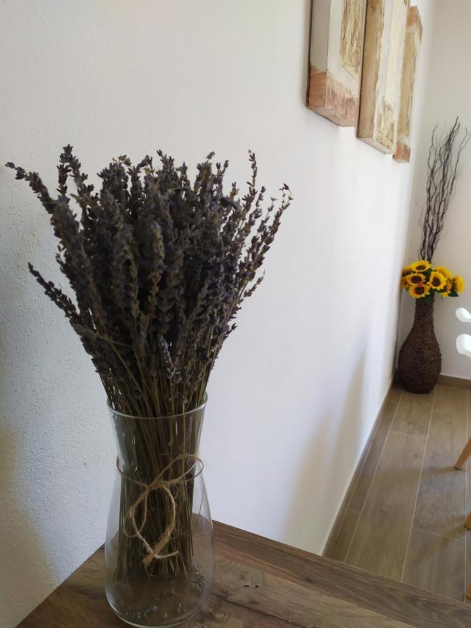Apartamentos Xert Escapadas En Castellon Cerca De Morella Y Peniscola Chert Sant Mateu Exteriör bild